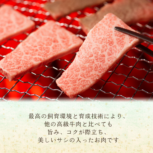 松阪牛一頭盛り（焼肉用） 1kg【松阪牛証明書付き】【最高級A5ランク】【送料無料】 / ブランド牛や牛肉ギフト の通販なら「meats-town（ミーツタウン）」