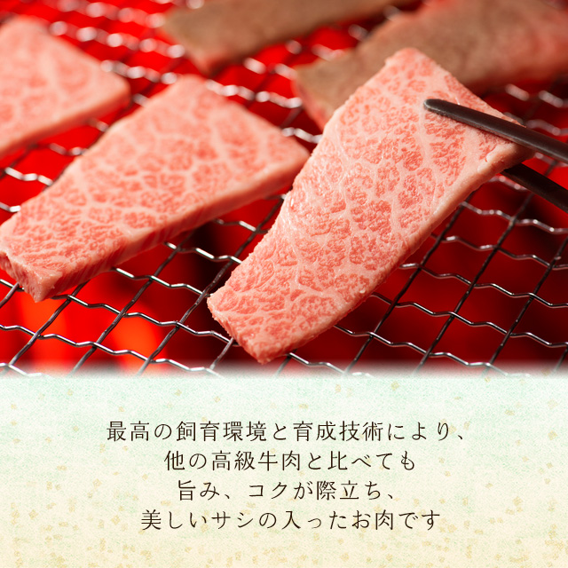 松阪牛の最高級の焼肉セット