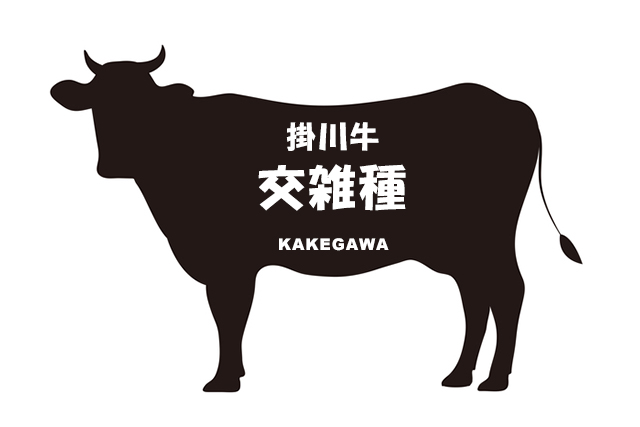 静岡県の掛川牛（交雑種）（かけがわぎゅう）