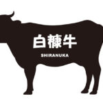 北海道の白糠牛（しらぬかぎゅう）