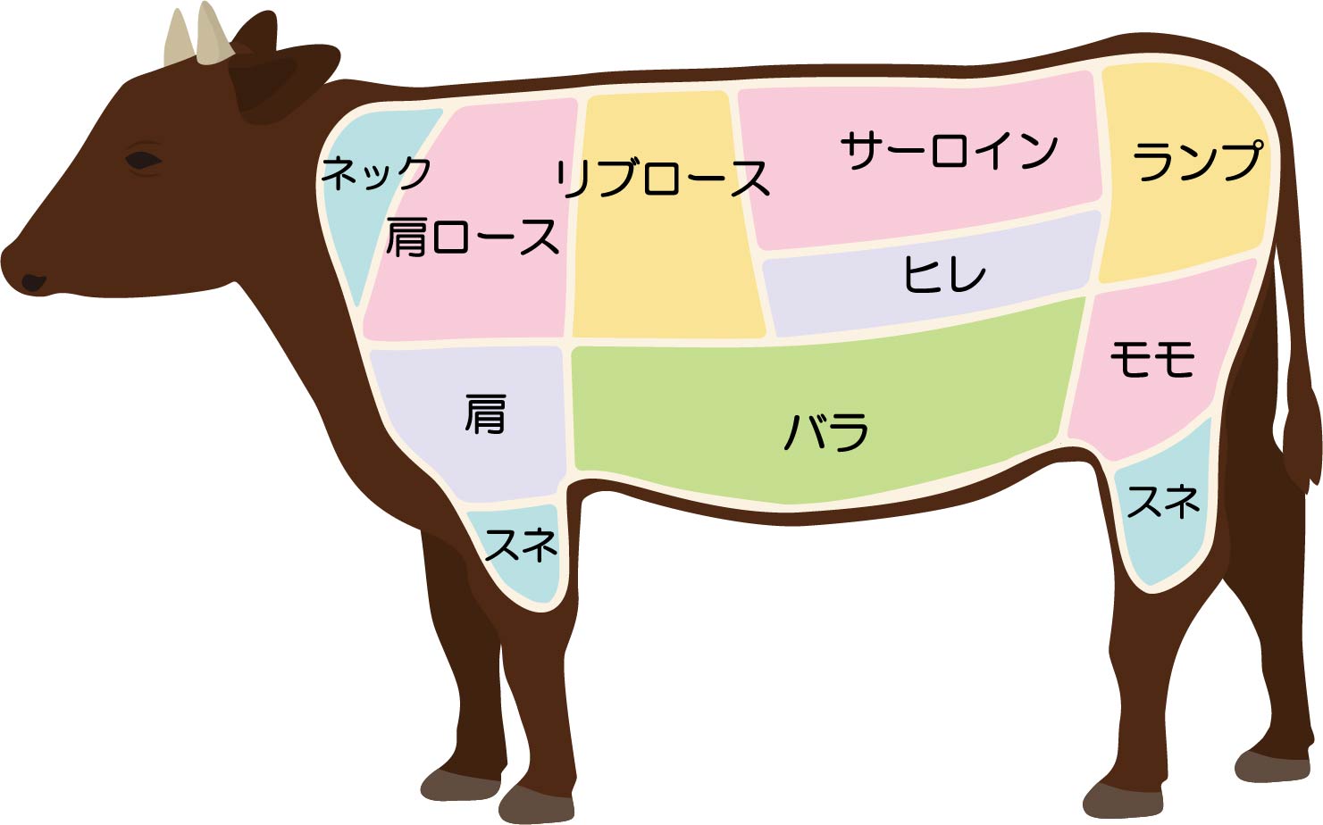 牛肉部位一覧表