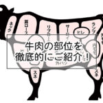 牛肉の部位の紹介