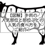 牛肉の部位を図解で説明