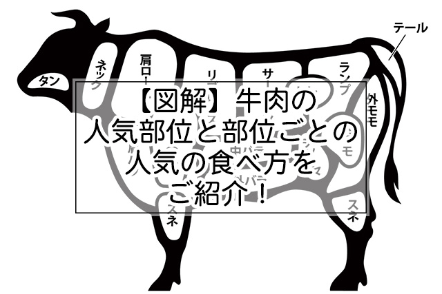牛肉の部位を図解で説明